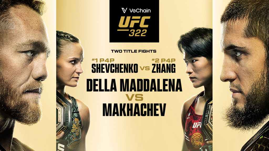 UFC 321 포스터