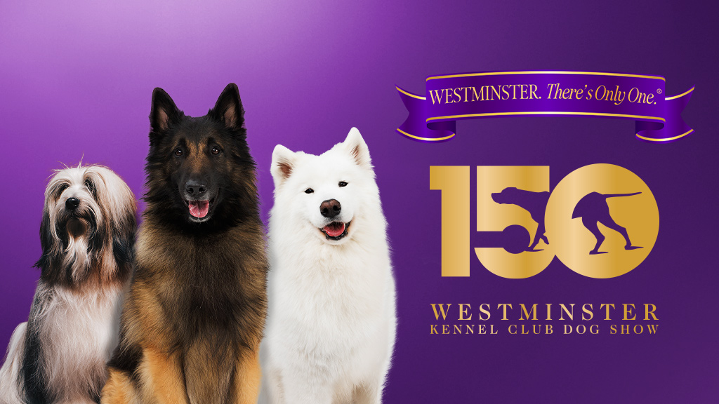 150th Westminster Kennel Club Dog Show - General Admission Two Day Pass