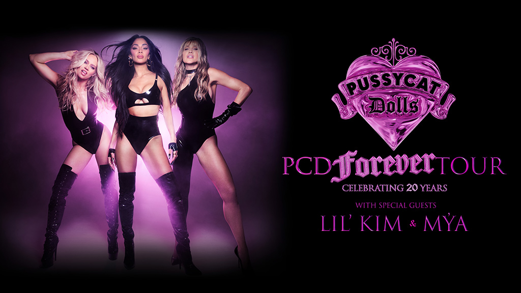 The Pussycat Dolls