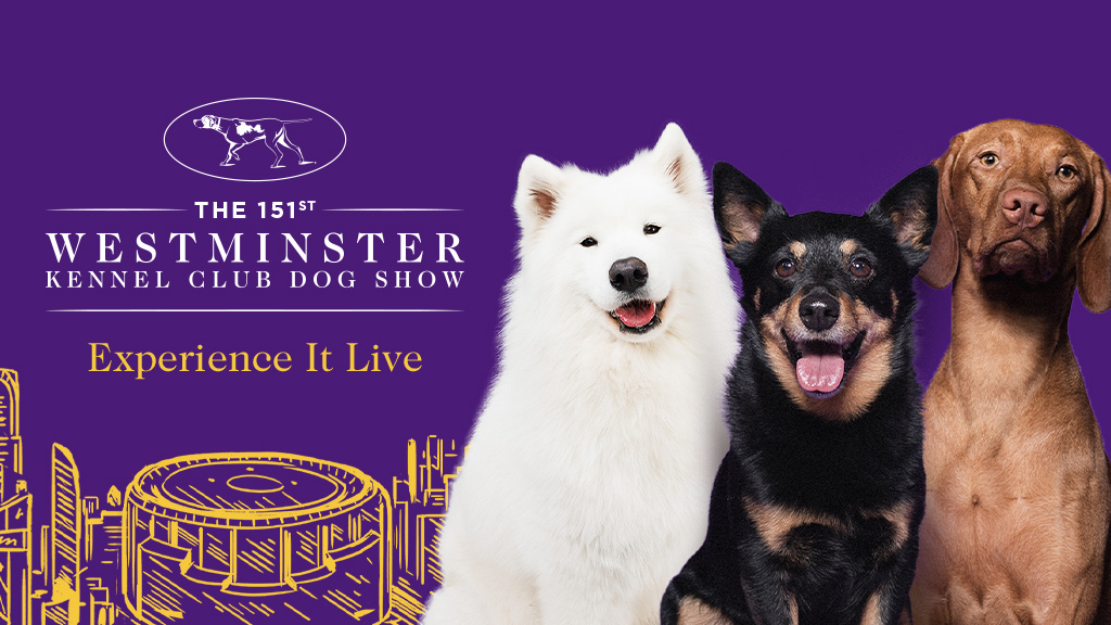 Westminster Kennel Club Dog Show